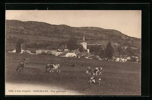 AK Corcelles, Vue générale