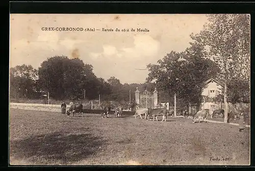 AK Grex-Corbonod, Entrée du côté du Moulin