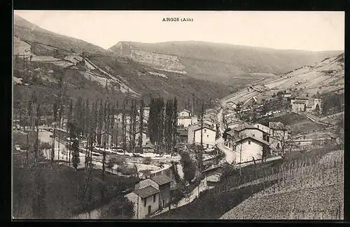 AK Argis, Vue générale