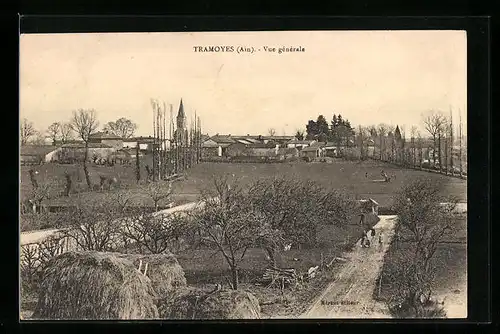 AK Tramoyes, Vue generale