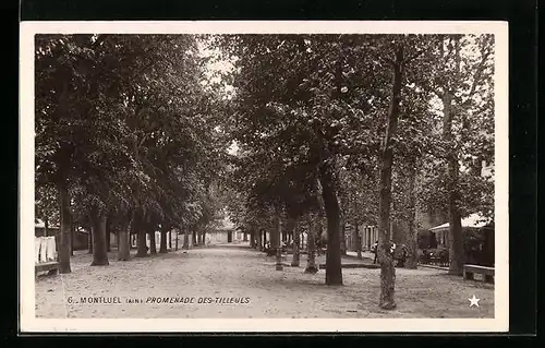 AK Montluel, Promenade des Tilleuls