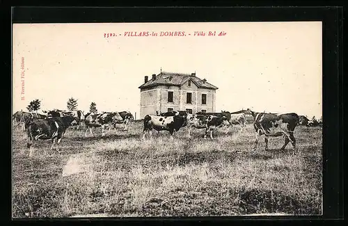 AK Villars-les Dombes, Villa Bel Air