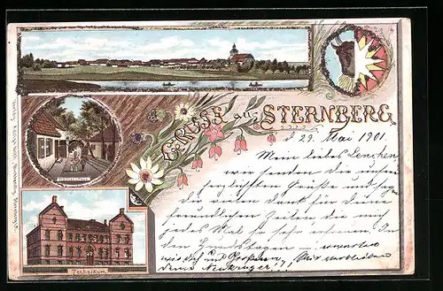 Glitzer-Lithographie Sternberg, Teilansicht, Technikum, Mühlen-Tor