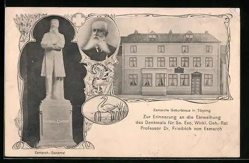 AK Tönning, Einweihung Esmarch-Denkmal, Portrait und Geburtshaus Friedrich von Esmarch