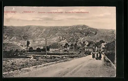 AK Niegus, La Rue du Palais-Erakovici