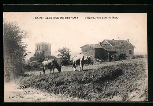AK Saint-Maurice-de-Beynost, L`Eglise, vue prise du Bois