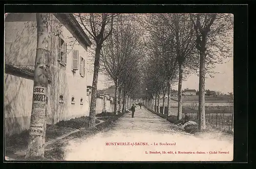 AK Montmerle-s /-Saone, Le Boulevard