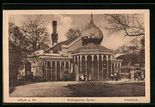 AK Köln a. Rh., Zoologischer Garten, Affenhaus