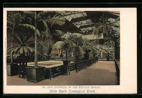 AK New York, Zoological Park, Interior of the Reptile House