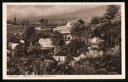 AK Tenerife, Motivo en Valle Orotava