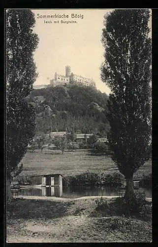 AK Bösig, Teich mit Burgruine
