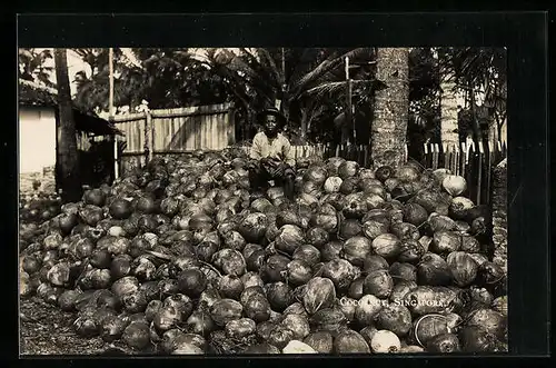 AK Singapore, Coconuts