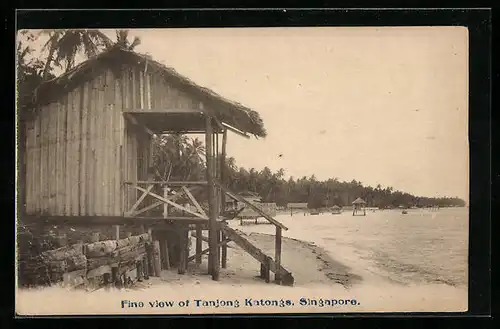 AK Singapore, Fine view of Tanjong Katongs
