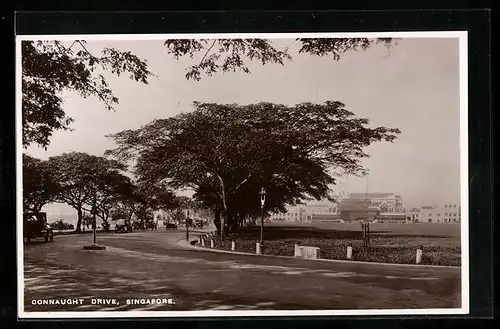 AK Singapore, Connaught Drive