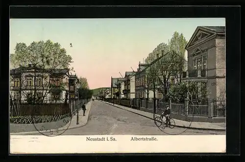 Goldfenster-AK Neustadt i. Sa., Partie in der Albertstrasse