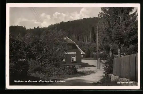 AK Blasiwald, Gasthaus-Pension Eisenbreche mit Strasse