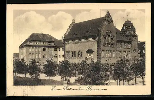 AK Essen-Rüttenscheid, Gymnasium mit Strasse aus der Vogelschau