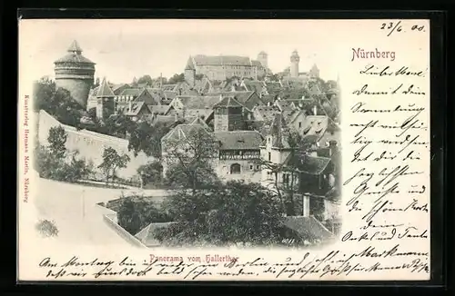 Relief-AK Nürnberg, Panorama vom Hallerthor