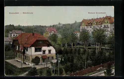 AK Freudenstadt, Kurhaus Palmenwald und Villenkolonie aus der Vogelschau