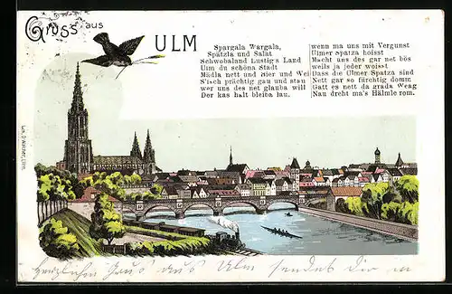 Künstler-AK Ulm, Uferpartie mit Münster und Ulmer Spatz