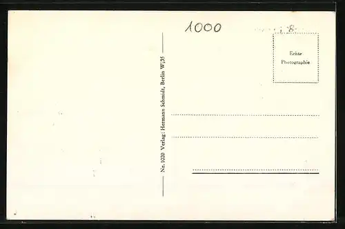 AK Berlin, Neuer See im Tiergarten