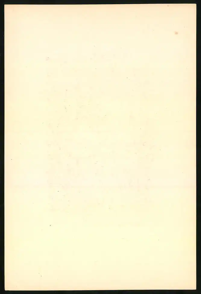 Fotoalbum mit 25 Lichtdrucken der Dresdner Galerie: Gemälde von Da Vinci, Kaufmann, Dolci, Holbein, Raphael, Defregger 27