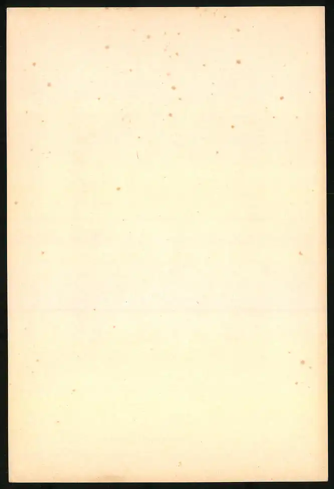 Fotoalbum mit 25 Lichtdrucken der Dresdner Galerie: Gemälde von Da Vinci, Kaufmann, Dolci, Holbein, Raphael, Defregger 37