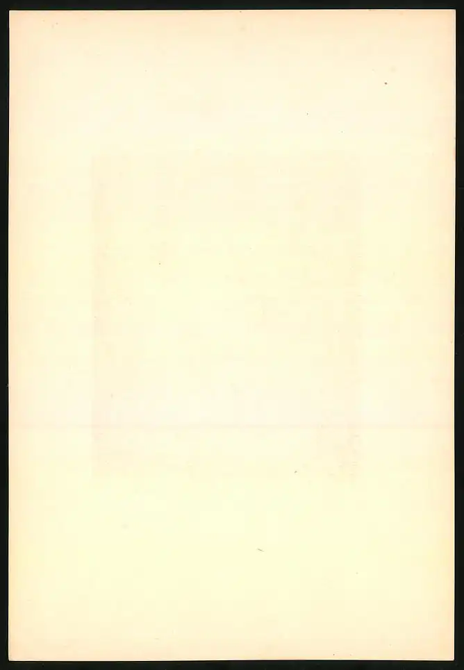 Fotoalbum mit 25 Lichtdrucken der Dresdner Galerie: Gemälde von Da Vinci, Kaufmann, Dolci, Holbein, Raphael, Defregger 43