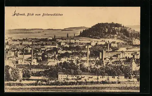 AK Pössneck, Blick vom Birkenwäldchen