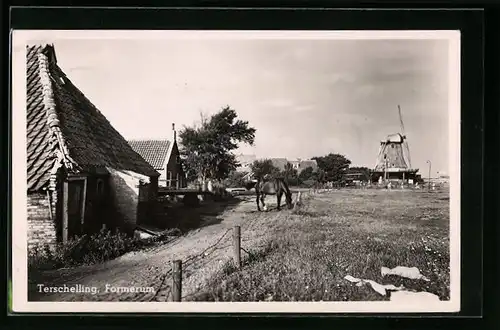 AK Terschelling-Formerum, Windmühle und weidendes Pferd