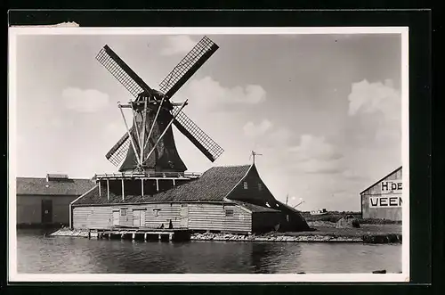 AK Zaandam, Oliemolen `t Kalf, Windmühle