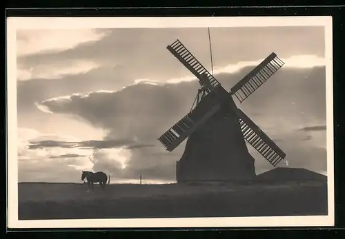 AK Norddorf a. Amrum, Nordseebad, Windmühle mit Pferd am Abend