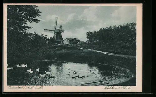 AK Graal /Ostsee, Windmühle mit Teich