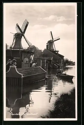 AK Zaandam, De Windhond, Windmühle