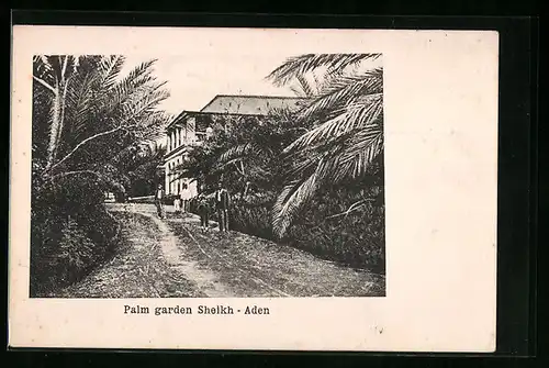 AK Aden, Palm garden Sheikh