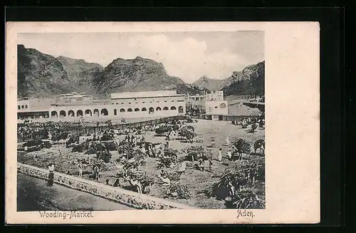 AK Aden, Wooding-Market