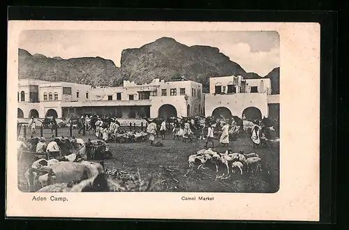 AK Aden-Camp, Camel Market