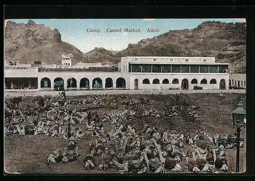 AK Aden-Camp, Camel Market