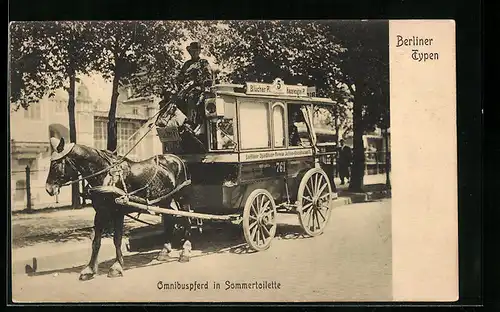 AK Berlin, Berliner Typen, Omnibuspferd in Sommertoilette