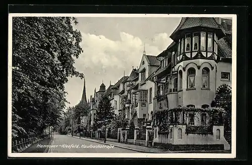 AK Hannover-Kleefeld, Kaulbachstrasse mit Bäumen