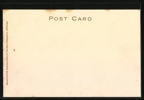 AK Voisin Biplane, Flugzeug