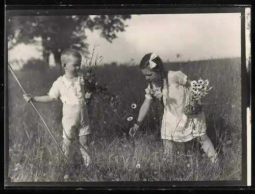 Fotografie Schnappschuss, Knabe & Mädchen mit Zöpfen sammeln Wildblumen