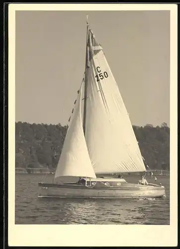 Fotografie Segelboot mit Kennung C250 auf dem Hauptsegel