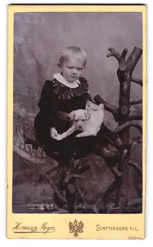 Fotografie Hermann Meyer, Senftenberg, junges niedliches Mädchen im Samtkleid mit kleinem Hunde Welpen auf dem Schoss