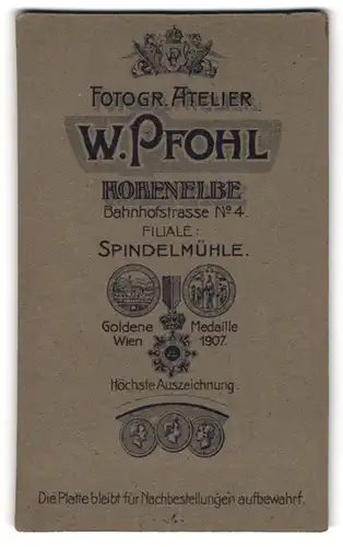 Fotografie W. Pfohl, Hohenelbe, Bahnhofstr. 4, Monogramm des Fotografen im königlichen Wappen, Medaillen