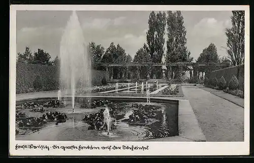 AK Forst /Lausitz, grosse Fontäne auf der Wehrinsel