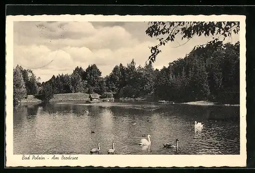 AK Bad Polzin, Am Brodesee