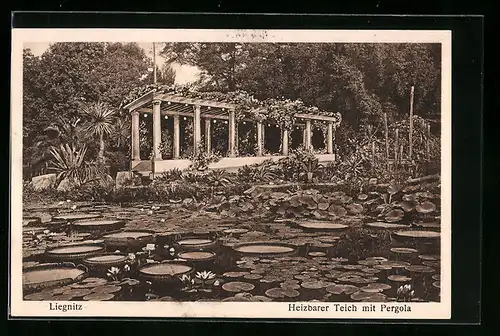 AK Liegnitz, Heizbarer Teich mit Pergola