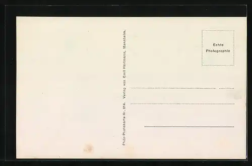 AK Landau, Strassenpartie mit Justizpalast
