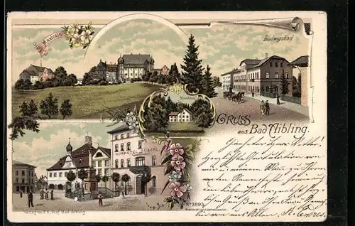 Lithographie Bad Aibling, Ortsansicht, Ludwigsbad, Kurhotel Duschl